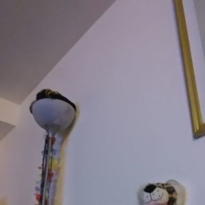 Meet your Posher, Henry